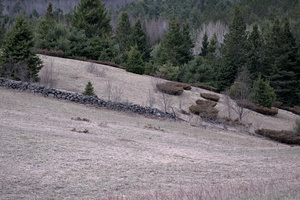 DSCF7862