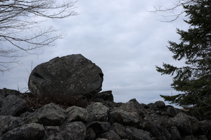 DSCF7894 01