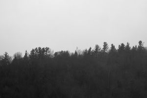 DSCF7955