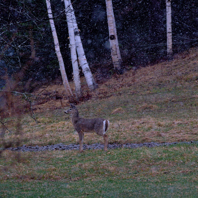 DSCF8023.jpg