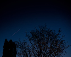 DSCF8126