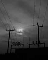 DSC03183