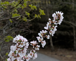 DSC03191