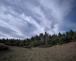 DSCF8203