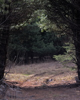 DSCF8218