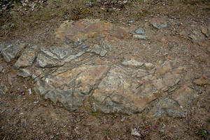 DSCF8258 01
