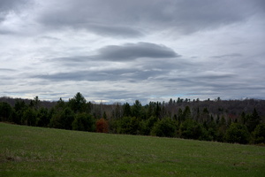 DSCF8266