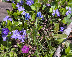 DSCF8357 01