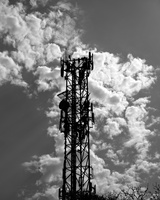 DSCF8369
