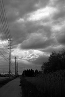 DSCF8464