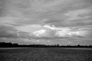 DSCF8456 01