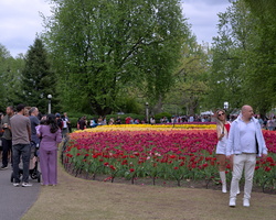 DSCF8521