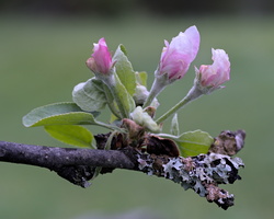 DSCF8693