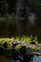 DSCF8843