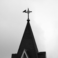 DSCF8863