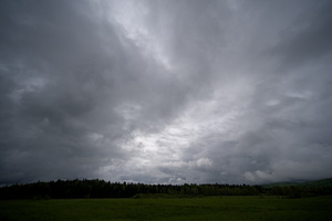 DSCF8928