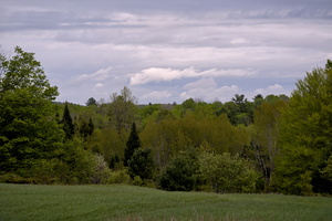 DSCF8971