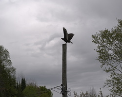DSCF9024