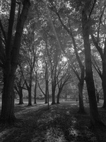 PXL 20250528 223943216.RAW-02.ORIGINAL
