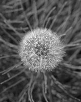 DSCF9081 01