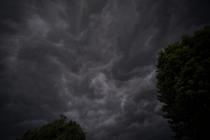 DSCF9100