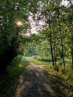 PXL 20250604 231928040.RAW-02.ORIGINAL