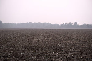 DSCF9243