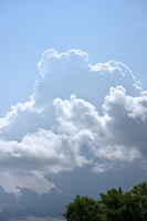 DSCF9426 01