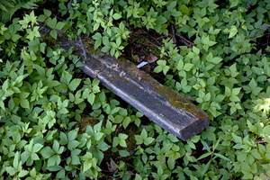 DSCF9602 01