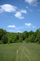 DSCF9696