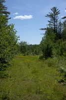 DSCF9686