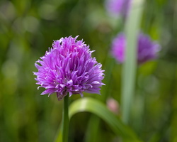 DSCF9703