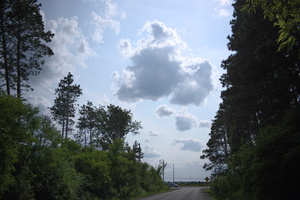 DSCF9751