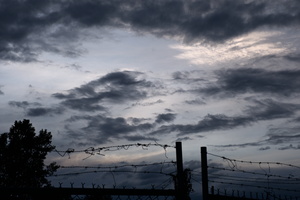 DSCF0103