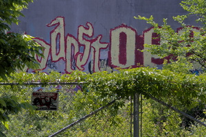 DSCF9947