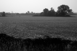 DSCF0086 01
