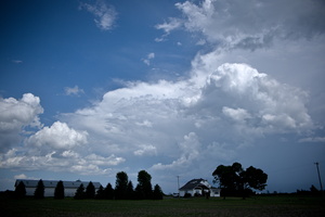 DSCF0132