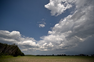 DSCF0113