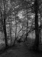 PXL 20250625 231618465.RAW-02.ORIGINAL