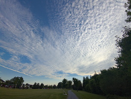 PXL 20250625 234656882.RAW-02.ORIGINAL