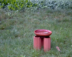 DSCF0206