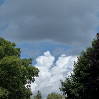 PXL 20250628 185726305.RAW-02.ORIGINAL