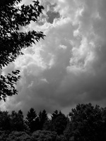 PXL 20250628 191149845.RAW-02.ORIGINAL 01