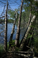 DSCF0262