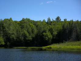 DSCF0219