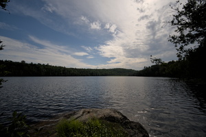 DSCF0316