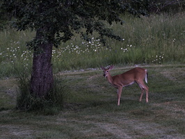 DSCF0358 01