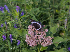 DSCF0432