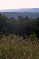 DSCF0493