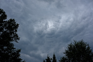 DSCF0507